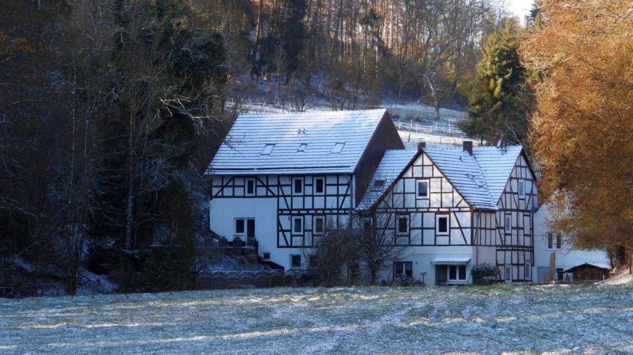 Апартаменти Haus An Der Werbe Вальдек Екстер'єр фото